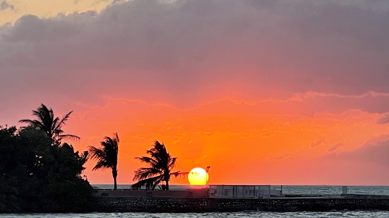 Photo of Others in Grassy Key