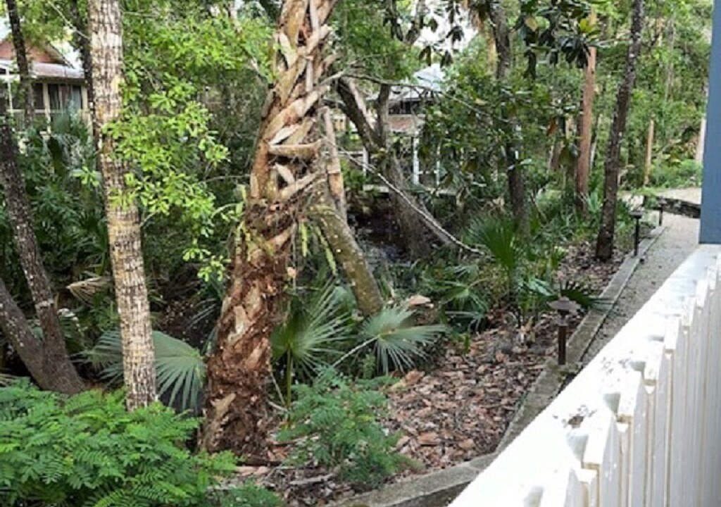 Photo of Outdoor in Steinhatchee