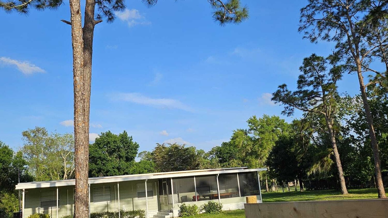 Photo of Outdoor in Buckingham