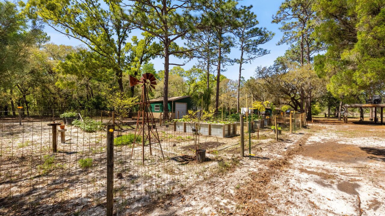 Photo of Outdoor in Cedar Key