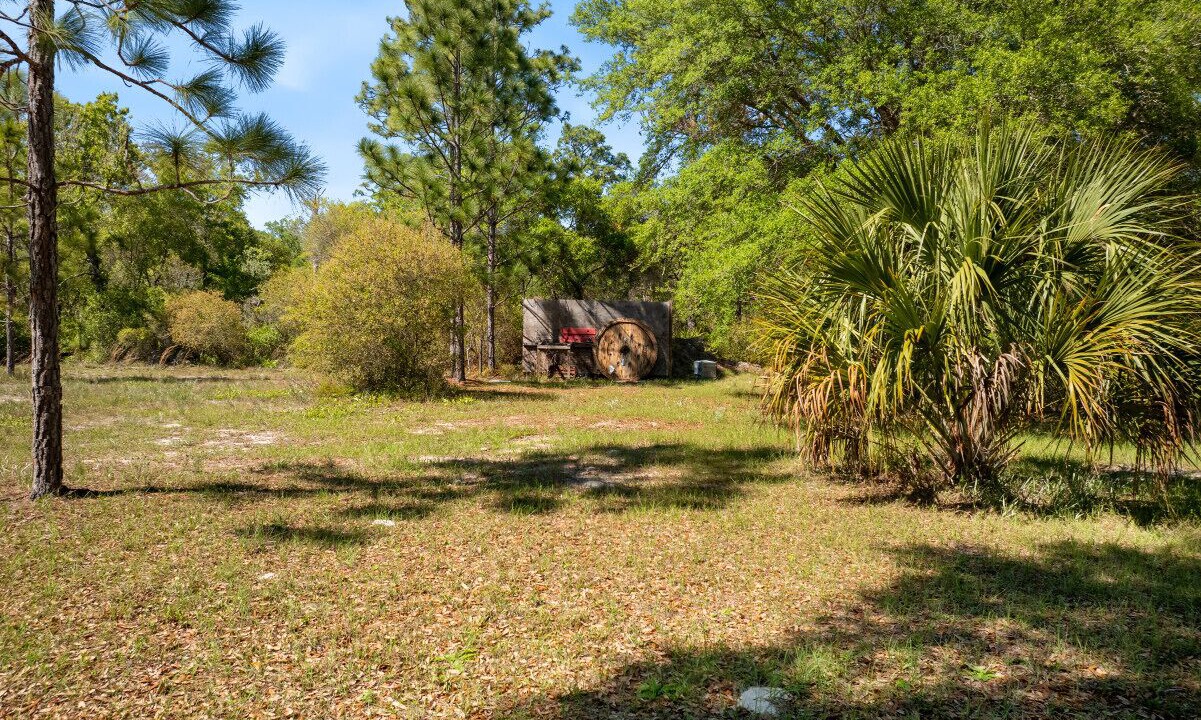 Photo of Others in Cedar Key