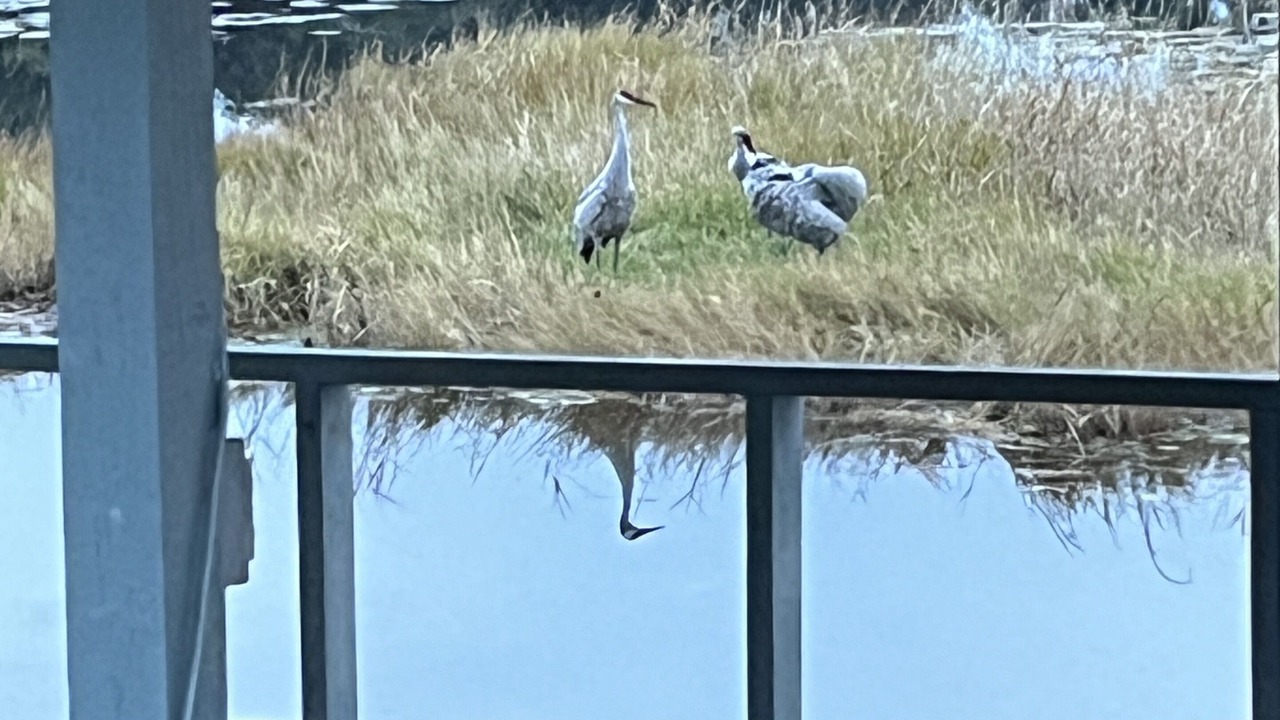 Photo of Others in Hernando