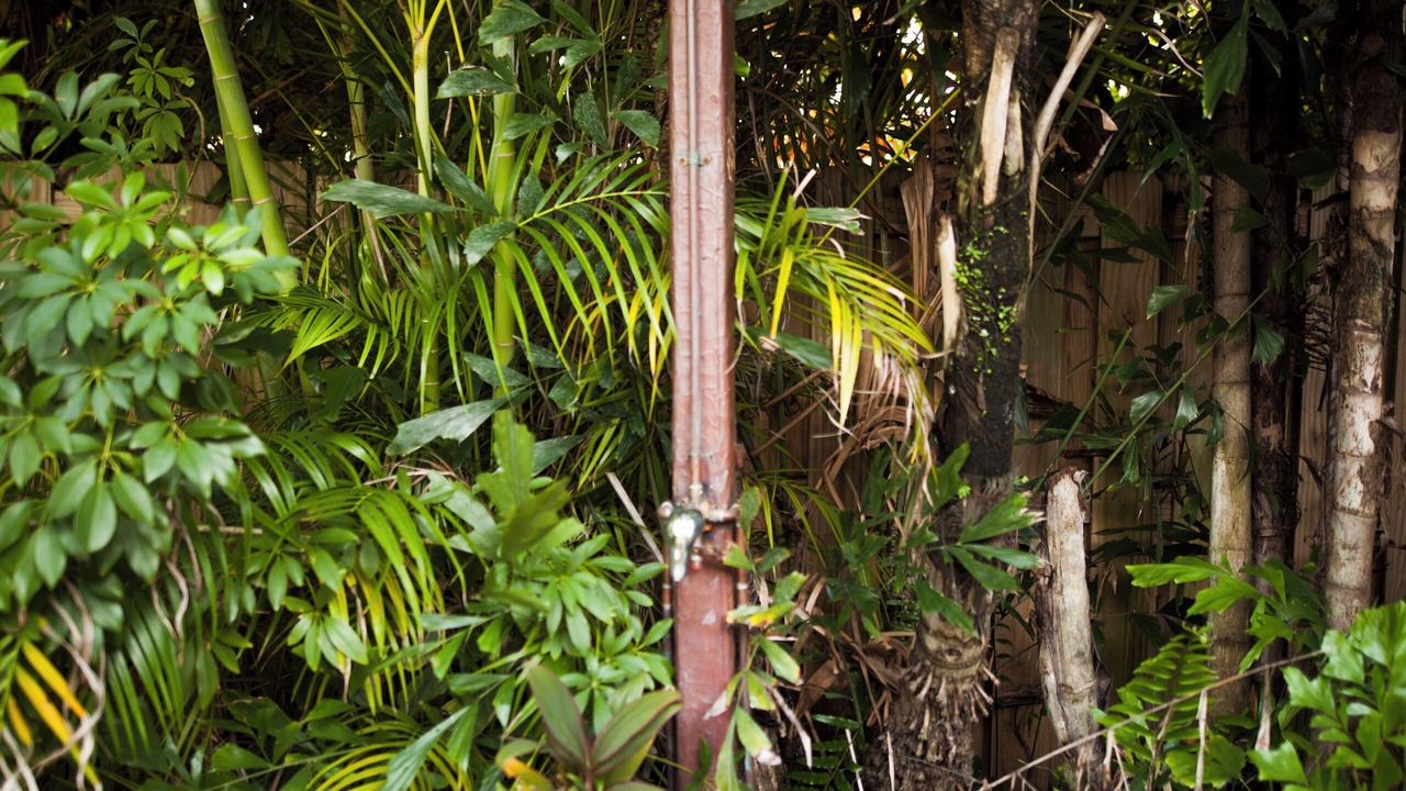 Photo of Outdoor in Coral Ridge