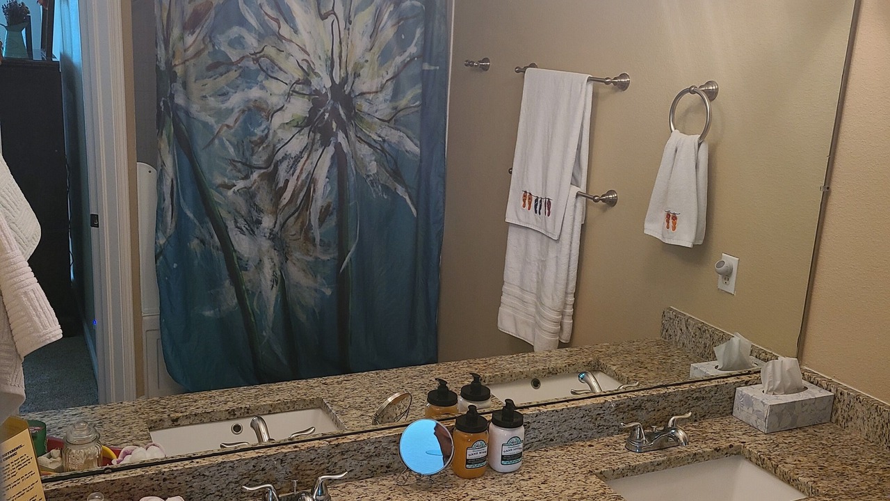 Photo of Bathroom in Wesley Chapel