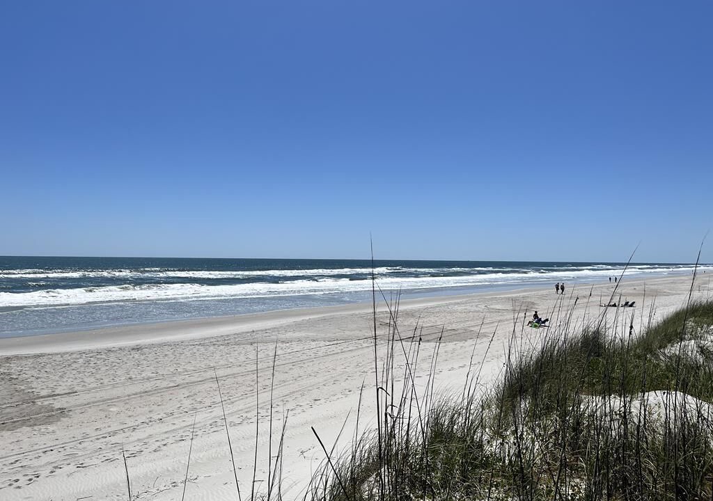 Photo of Others in Jacksonville Beach