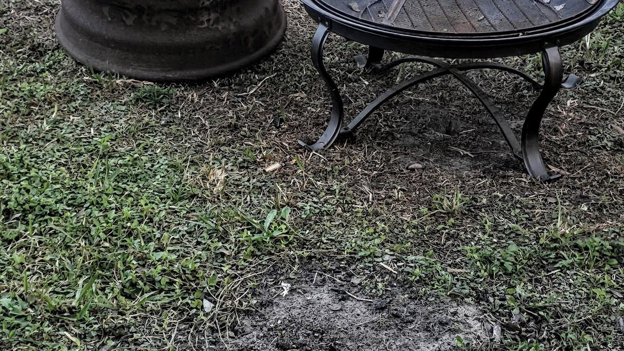 Photo of Others in Chassahowitzka