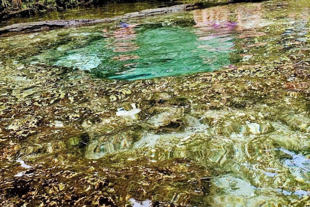 Photo of Others in Chassahowitzka