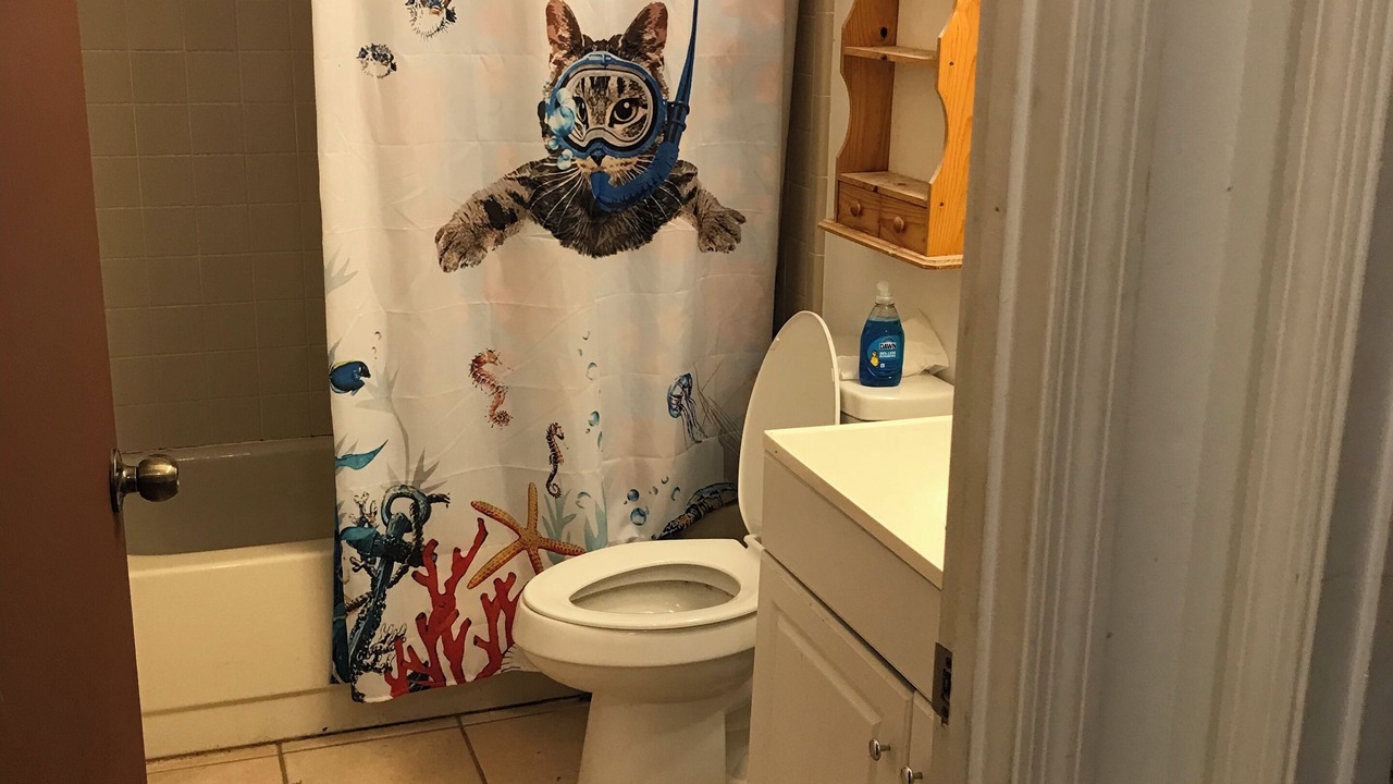 Photo of Bathroom in Poinciana