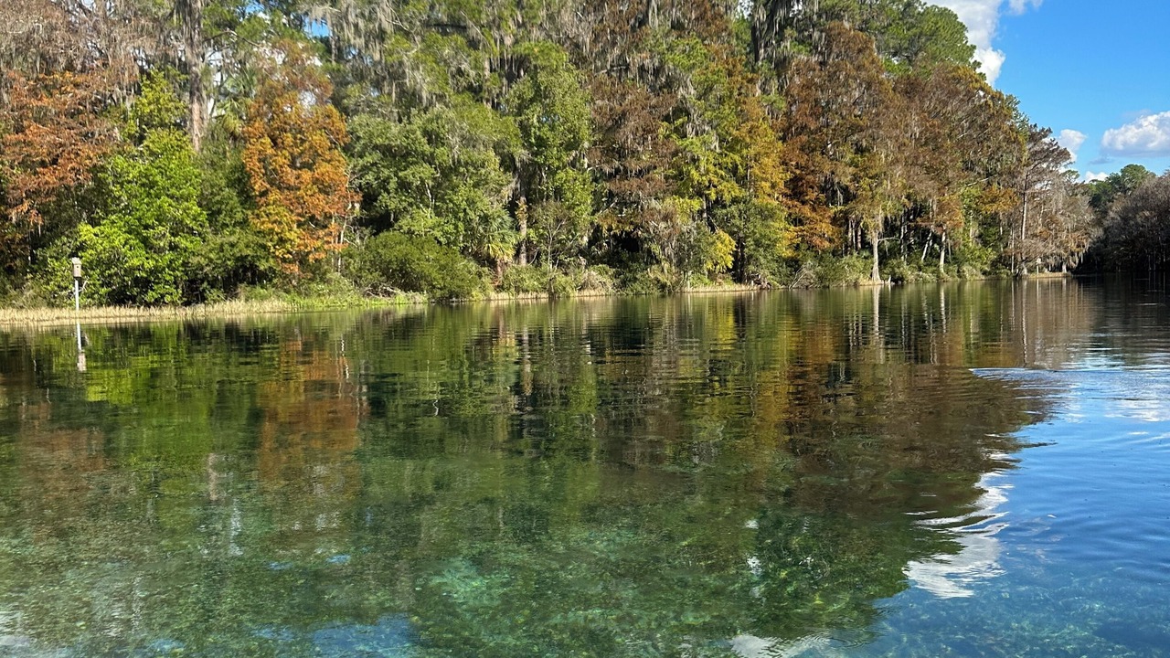 Photo of Others in Dunnellon