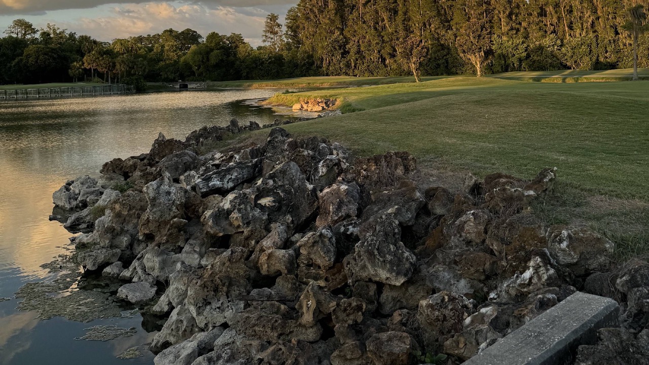 Photo of Outdoor in Wesley Chapel