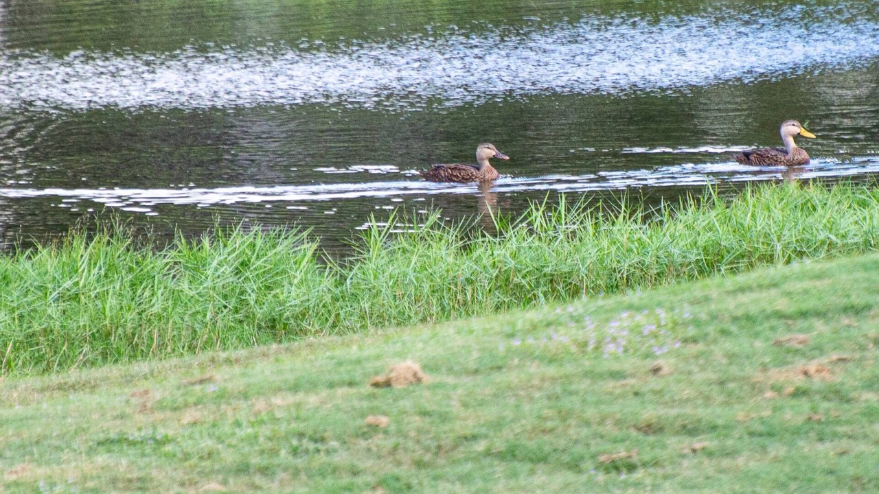 Photo of Others in Wesley Chapel