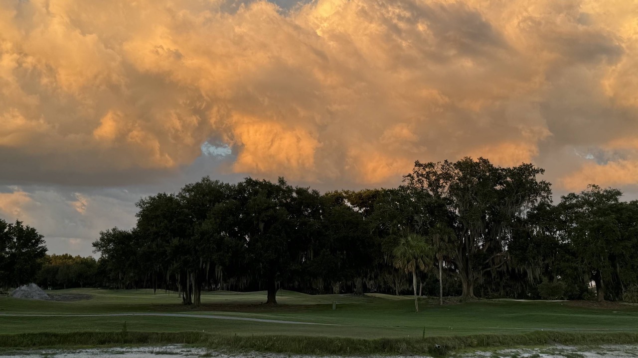Photo of Others in Wesley Chapel