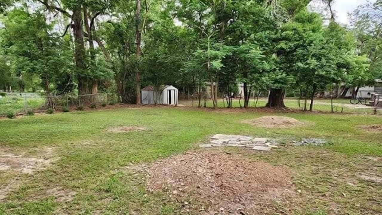 Photo of Outdoor in Tallahassee