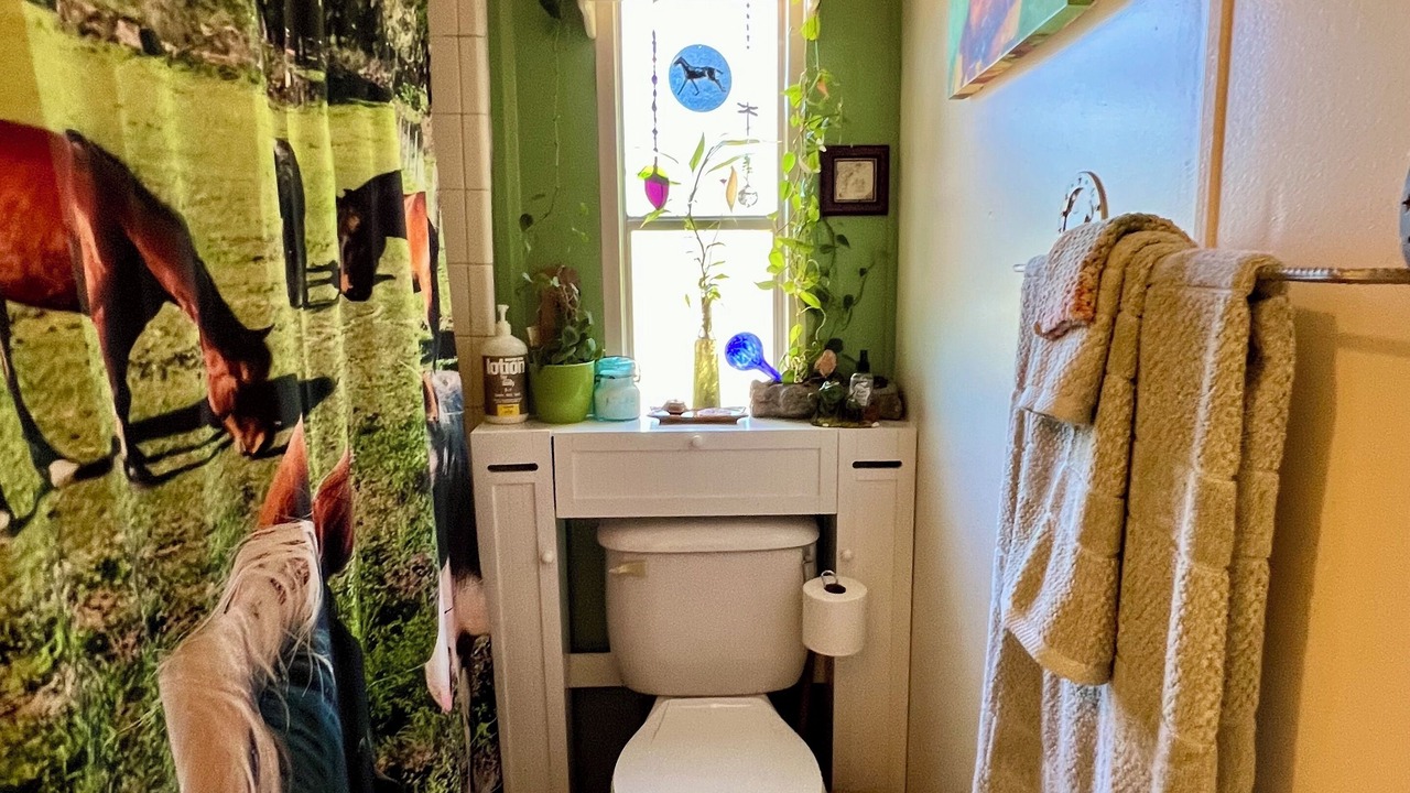 Photo of Bathroom in East County Civic Group