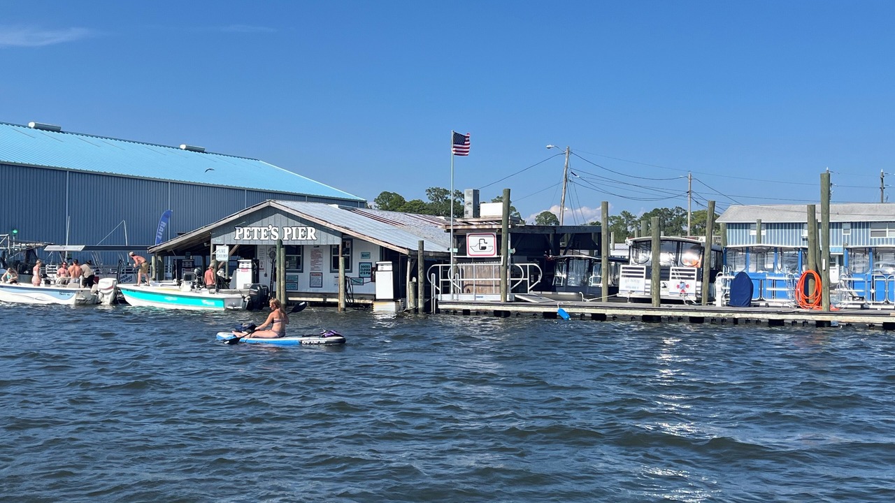 Photo of Others in Crystal River
