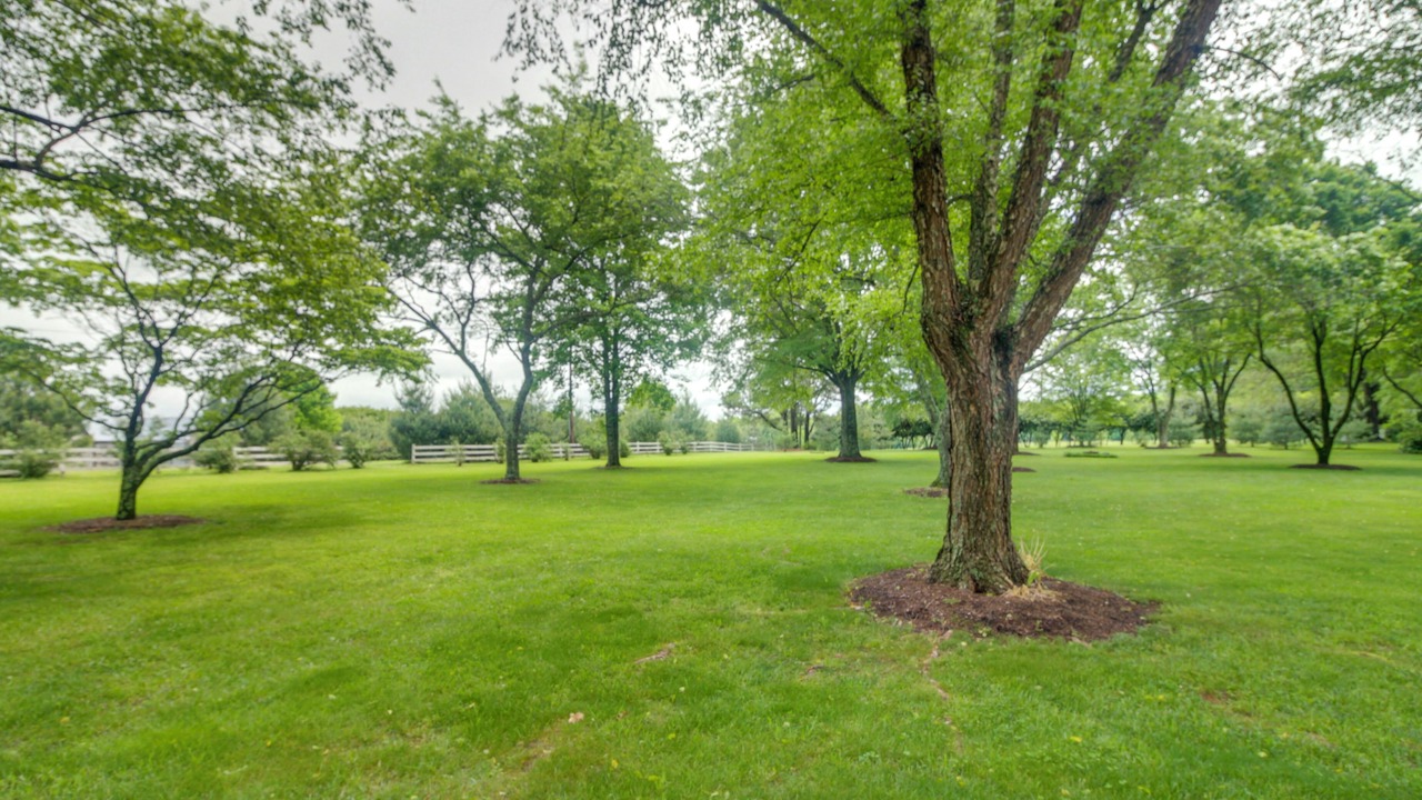 Photo of Outdoor in Lawndale