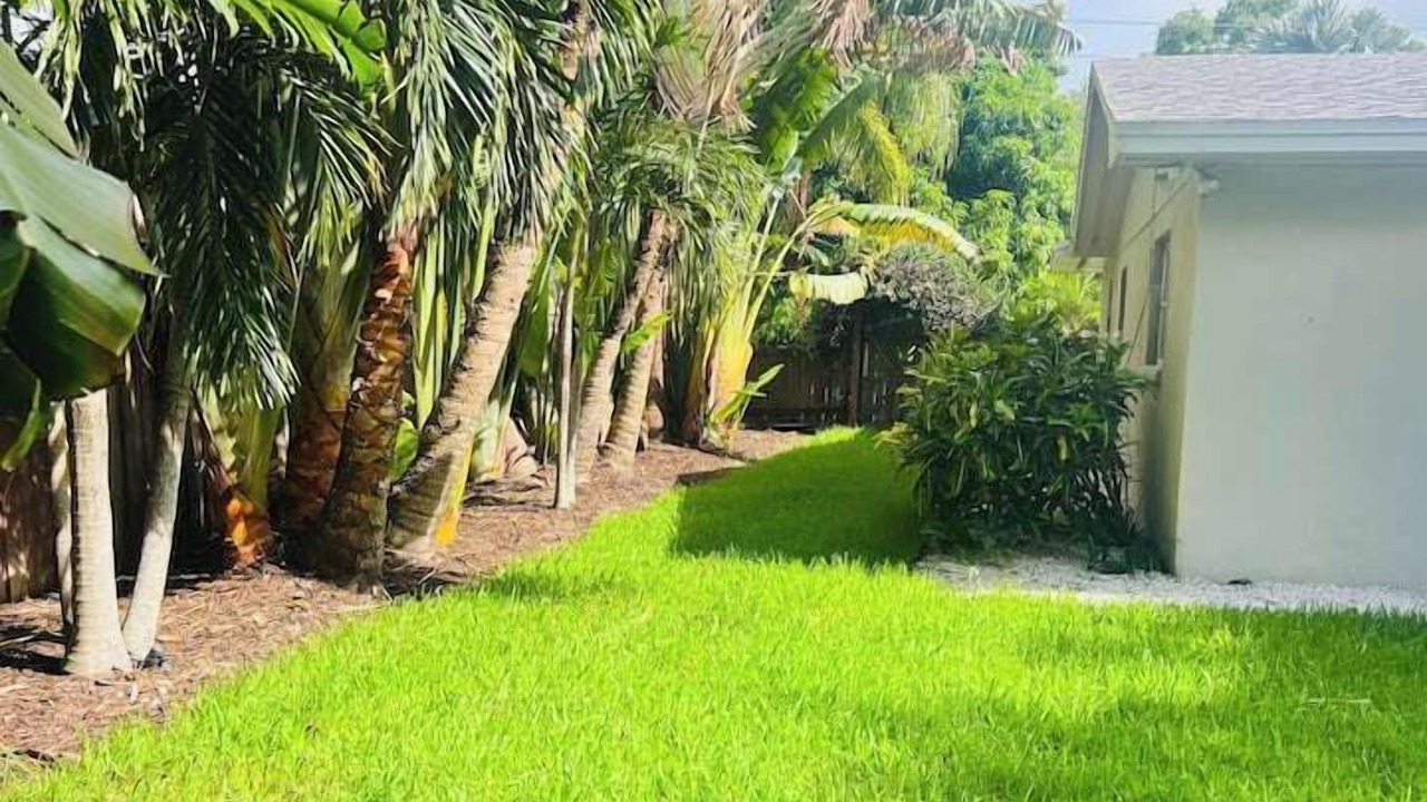 Photo of Outdoor in Pinellas Point