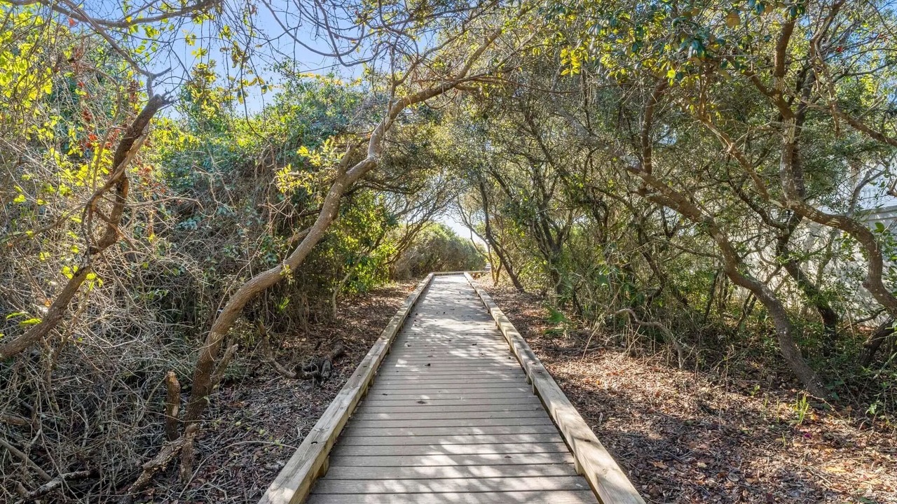 Photo of Outdoor in Seagrove Beach