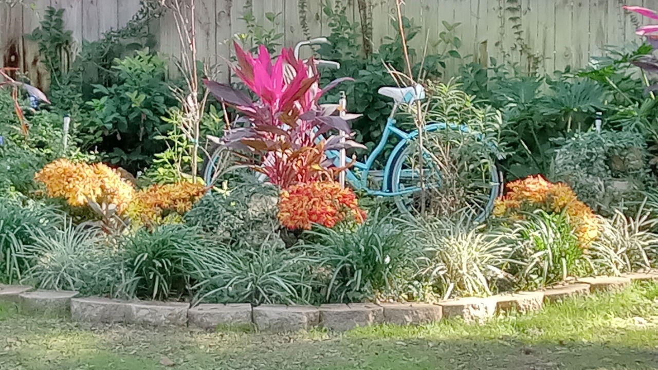 Photo of Outdoor in Floral City