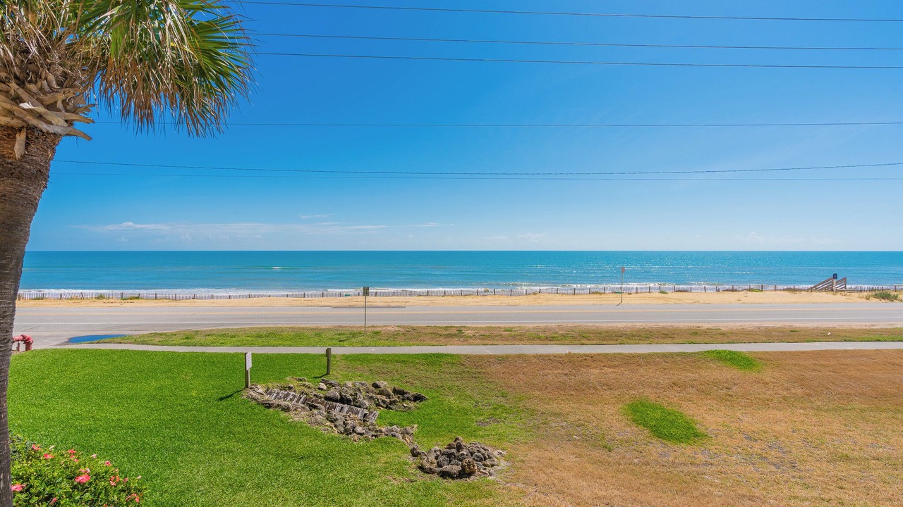 Photo of Others in Ormond-by-the-Sea