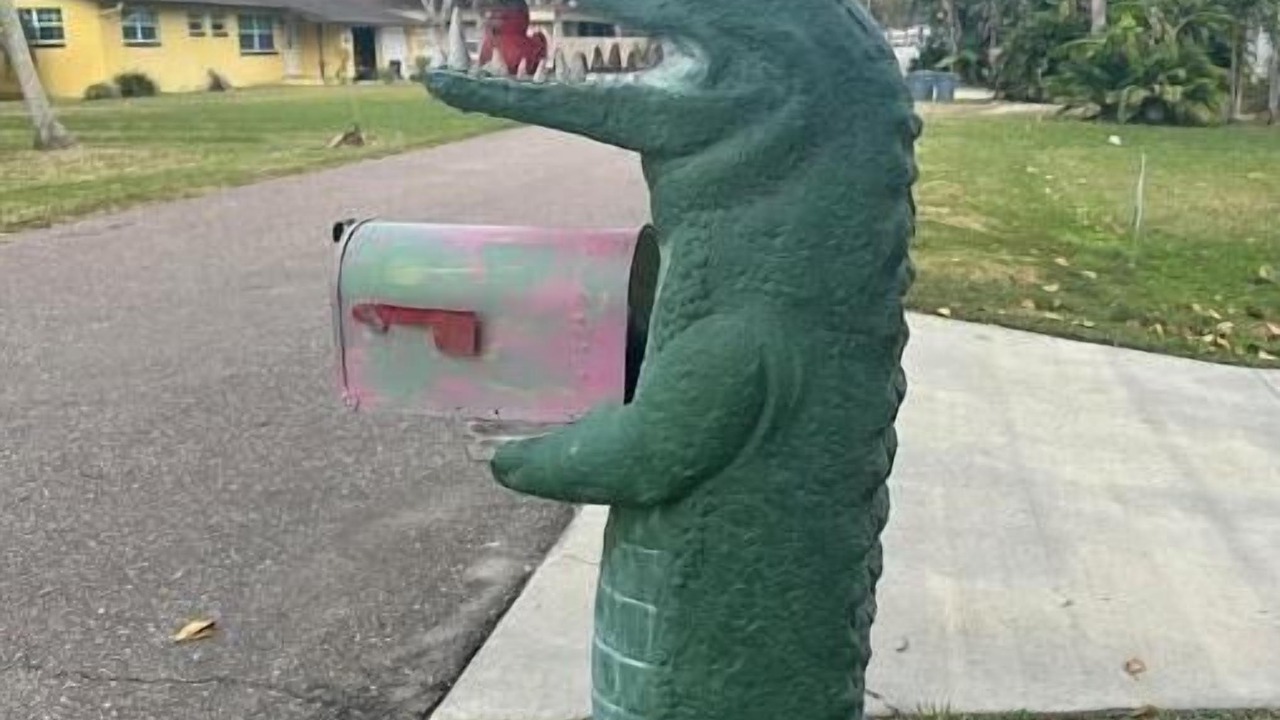 Photo of Outdoor in Port Orange