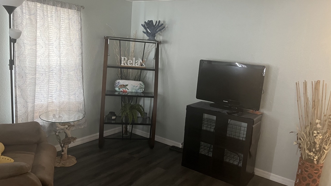 Photo of Livingroom in New Port Richey East