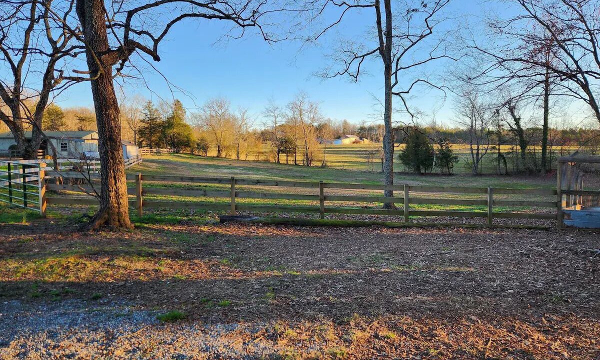 Photo of Others in Tryon