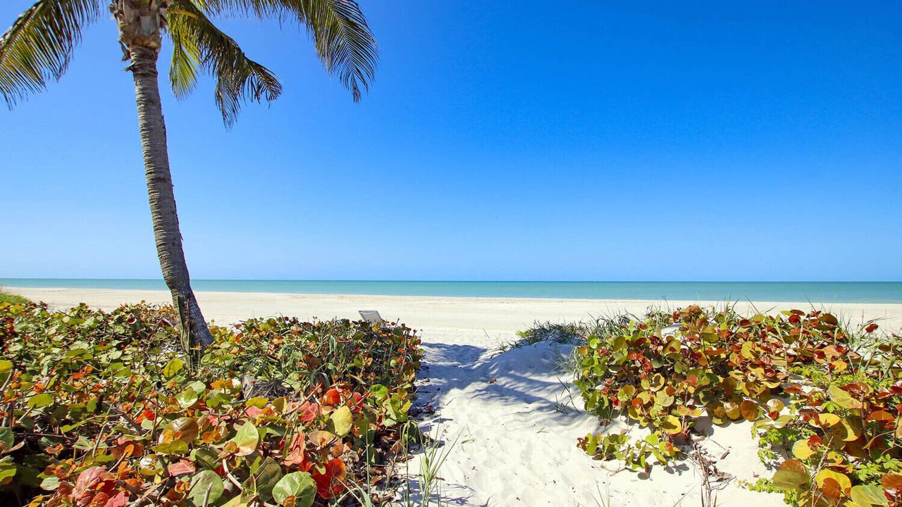 Photo of Others in Captiva