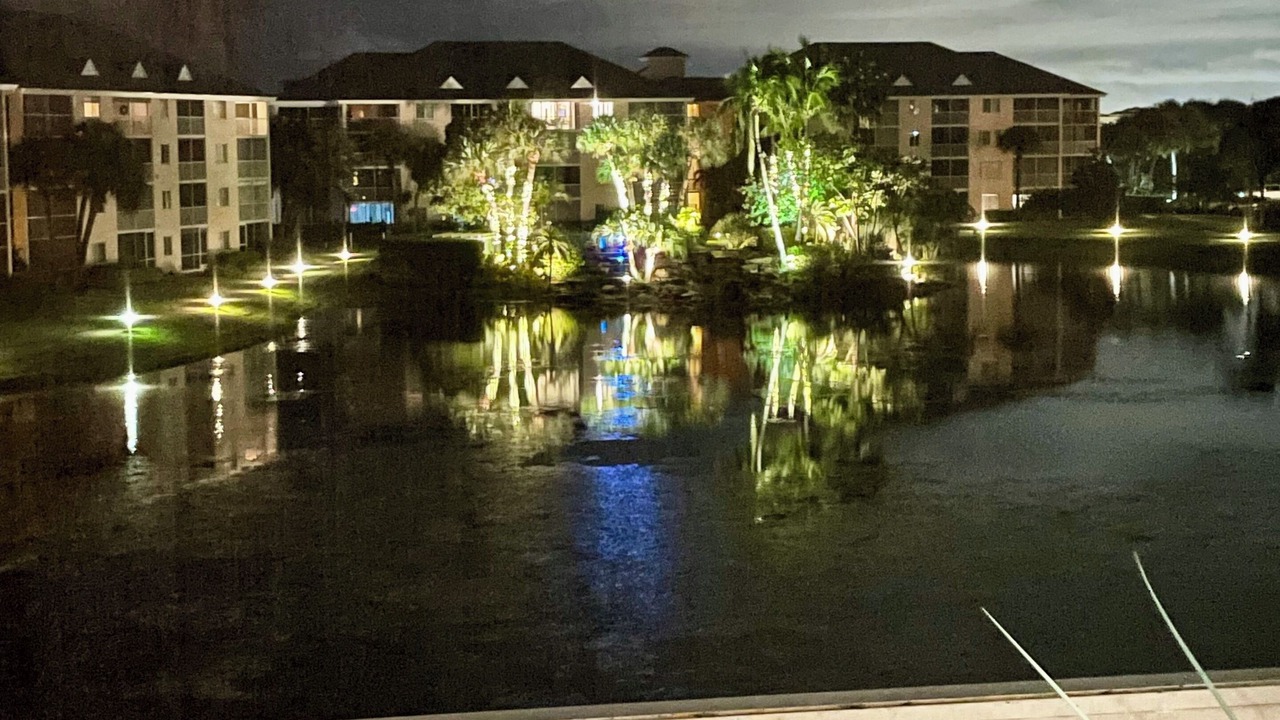Photo of Others in Jupiter Bay