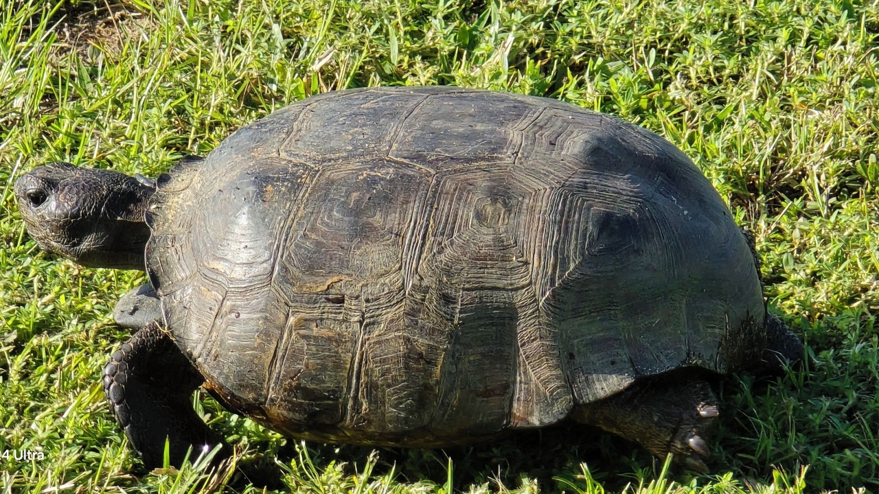 Photo of Others in Clermont