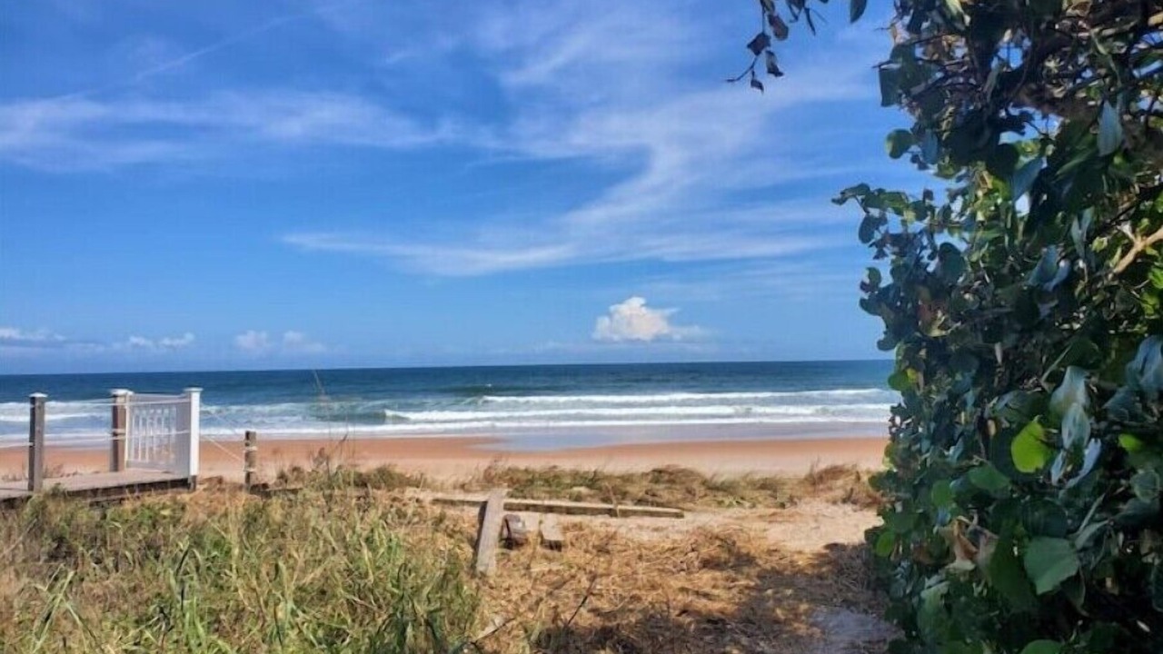 Photo of Others in Ormond-by-the-Sea