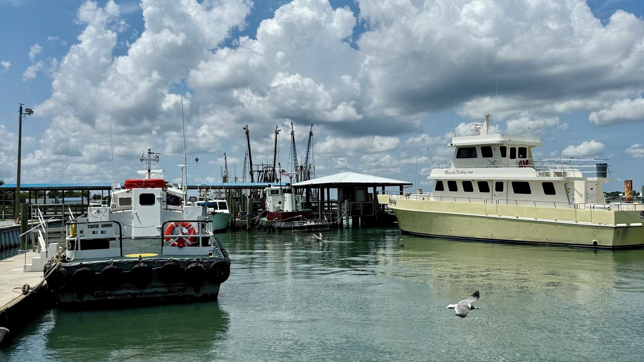 Photo of Others in Mayport