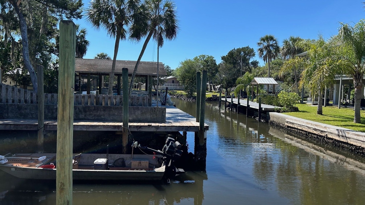 Photo of Others in Crystal River