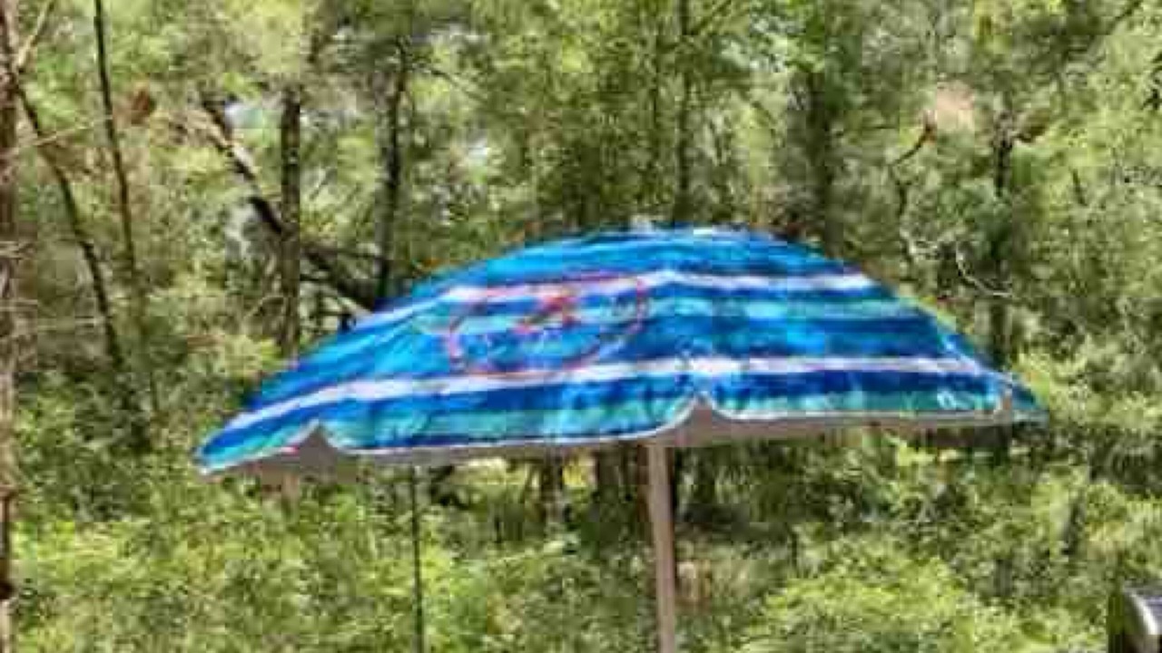 Photo of Outdoor in Citrus Springs