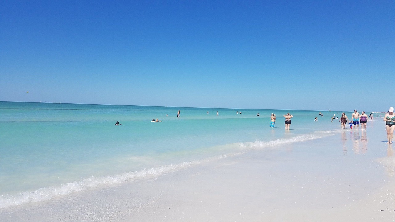 Photo of Others in Siesta Key