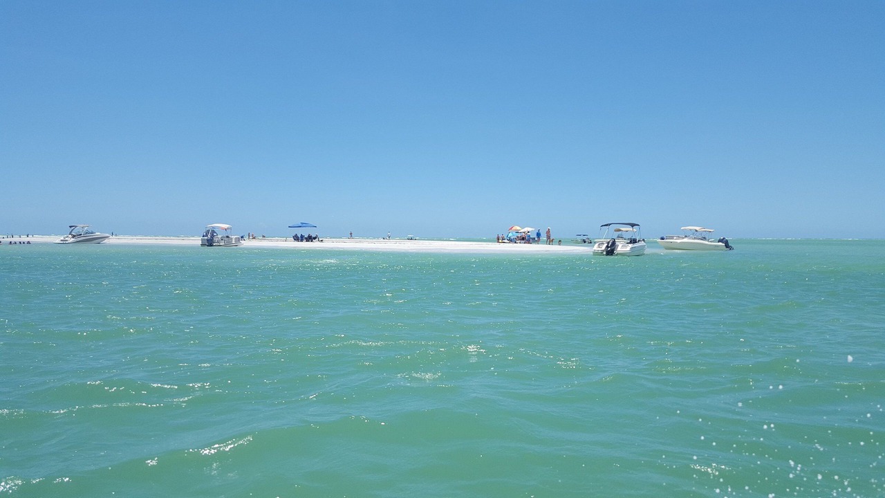 Photo of Others in Siesta Key