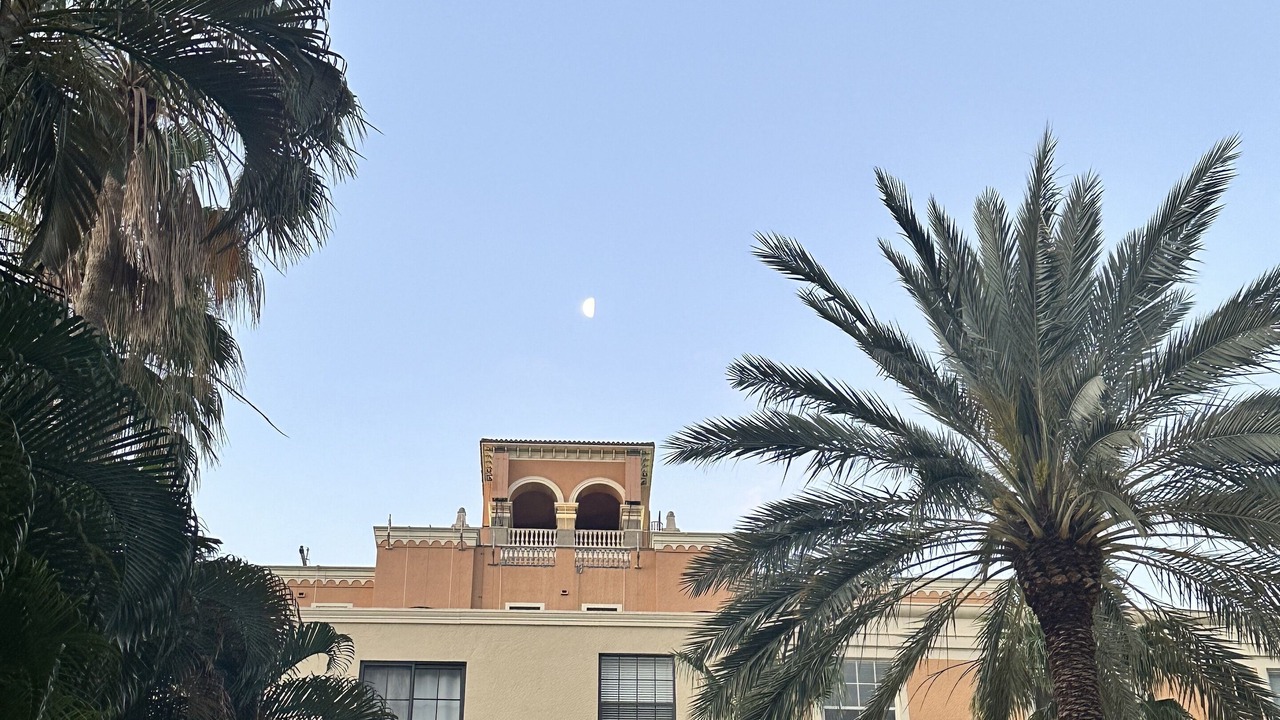 Photo of Outdoor in Downtown West Palm Beach