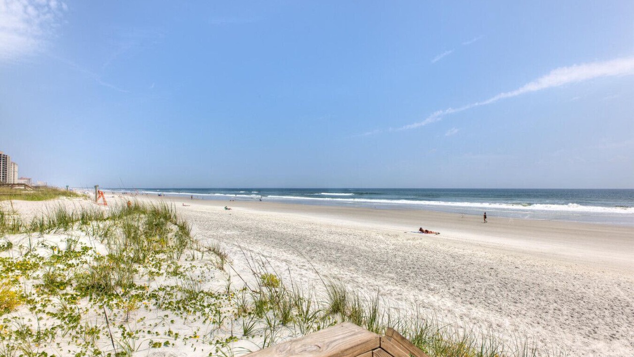 Photo of Others in Jacksonville Beach