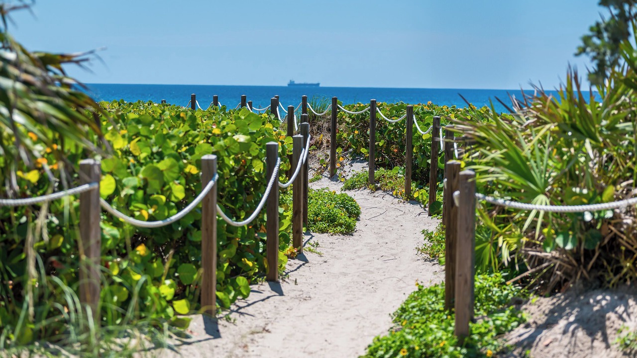 Photo of Others in Delray Beach
