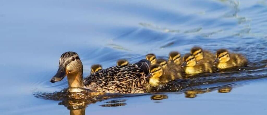 Photo of Others in Altamonte Springs