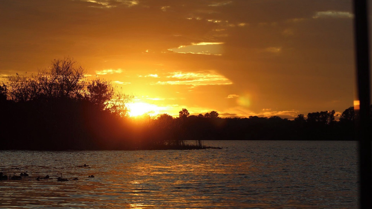 Photo of Others in Braden River