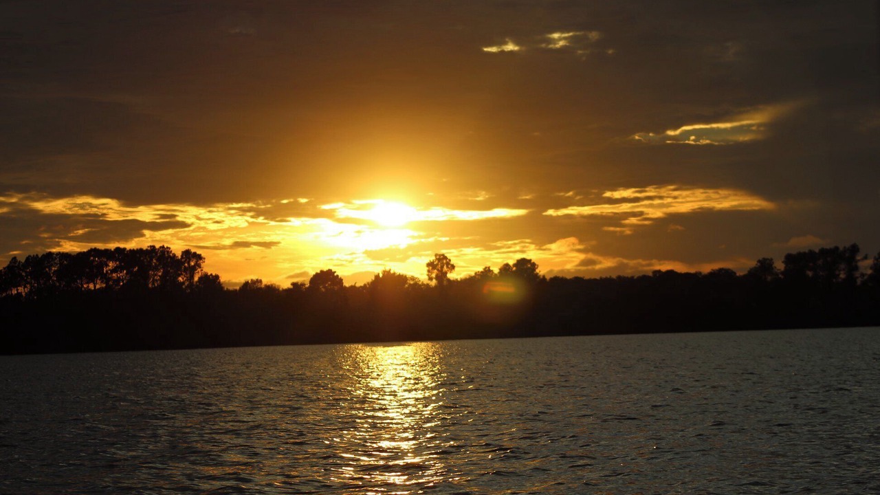 Photo of Others in Braden River