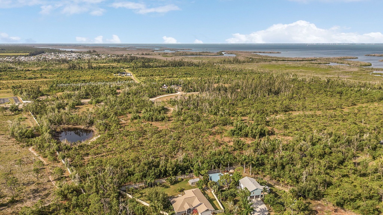 Photo of Outdoor in Saint James City