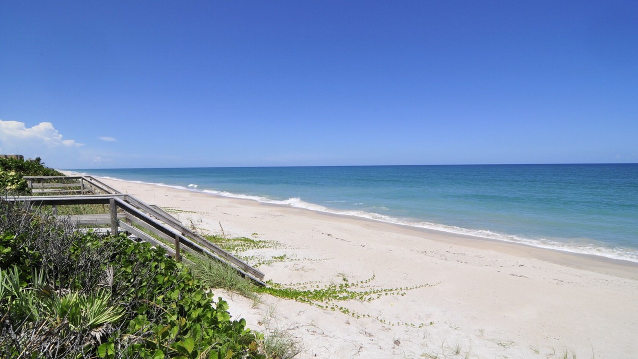 Photo of Others in Melbourne Beach