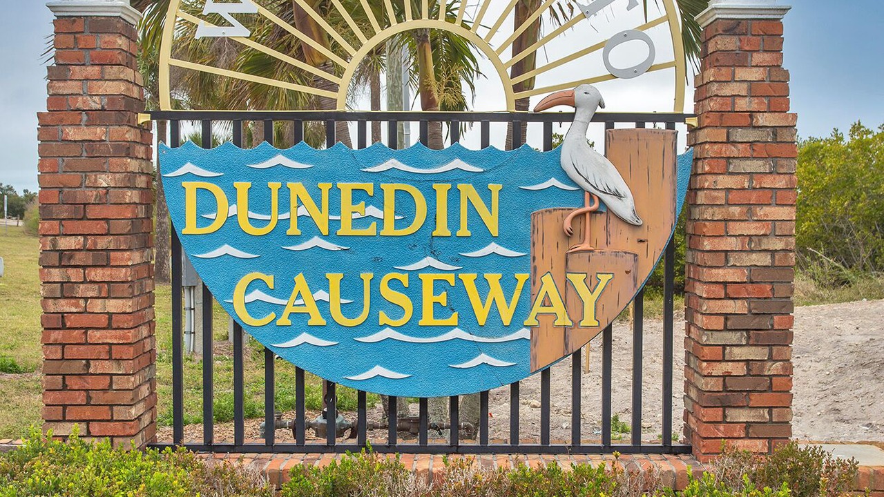 Photo of Others in Dunedin