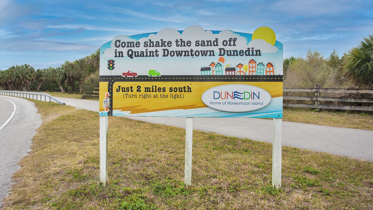 Photo of Others in Dunedin