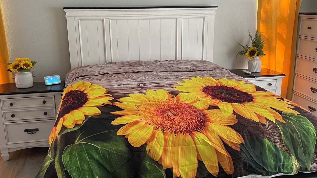 Photo of Bedroom in Spring Hill