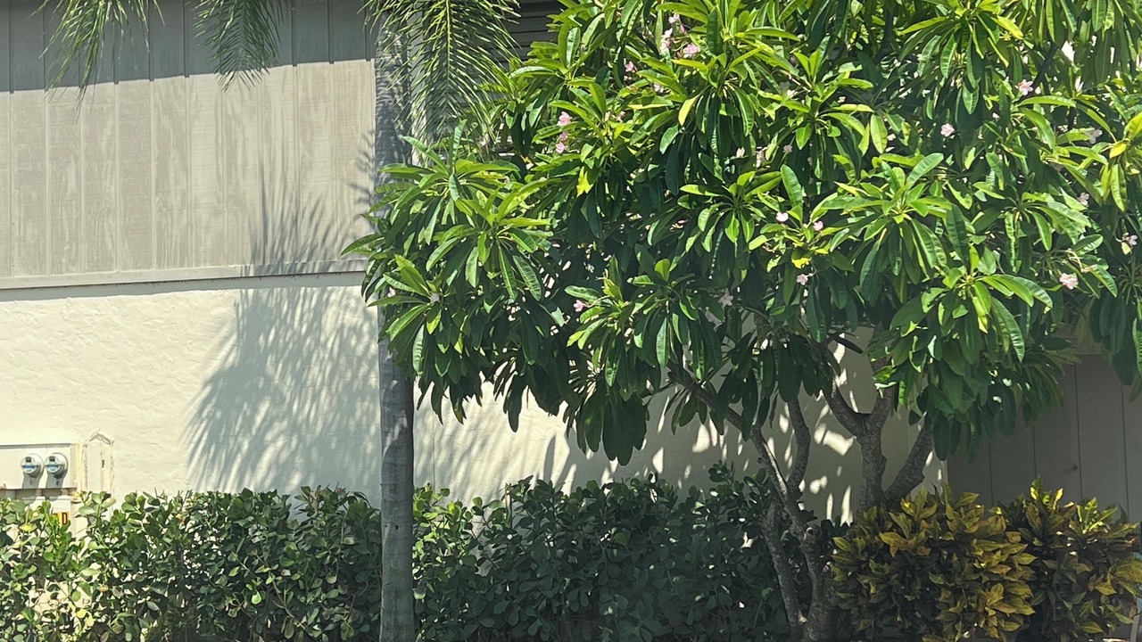 Photo of Outdoor in Jupiter