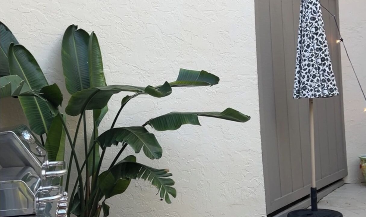 Photo of Outdoor in Jupiter