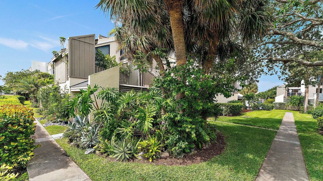 Photo of Outdoor in Jupiter